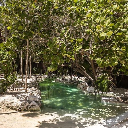 Niken Beachfront Tulum Hotel المظهر الخارجي الصورة