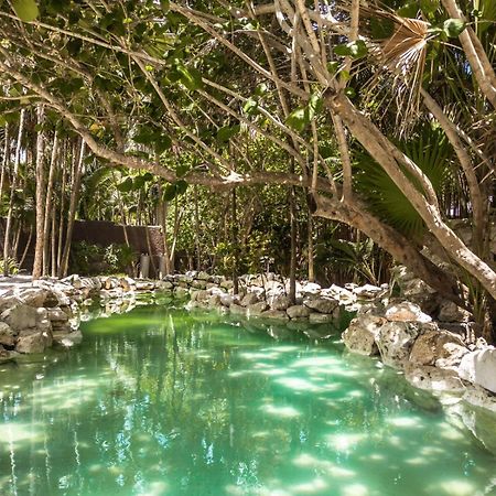 Niken Beachfront Tulum Hotel المظهر الخارجي الصورة
