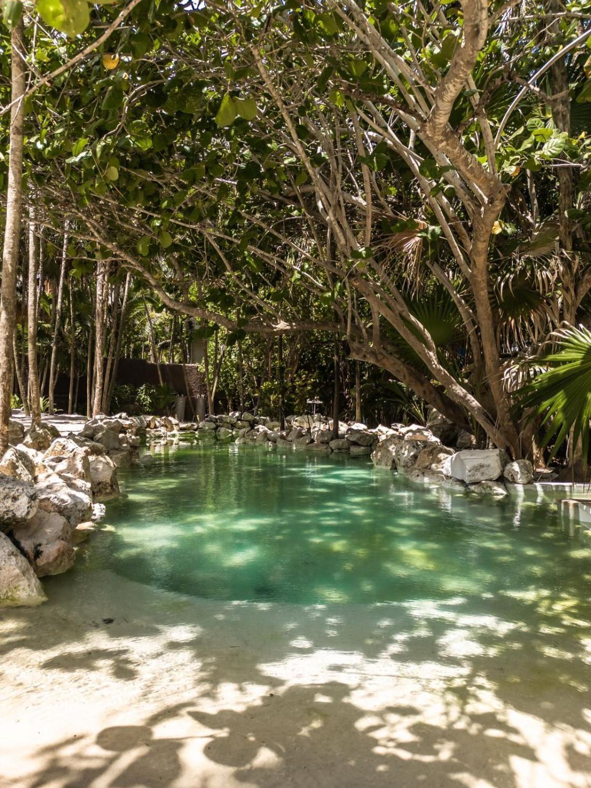 Niken Beachfront Tulum Hotel المظهر الخارجي الصورة