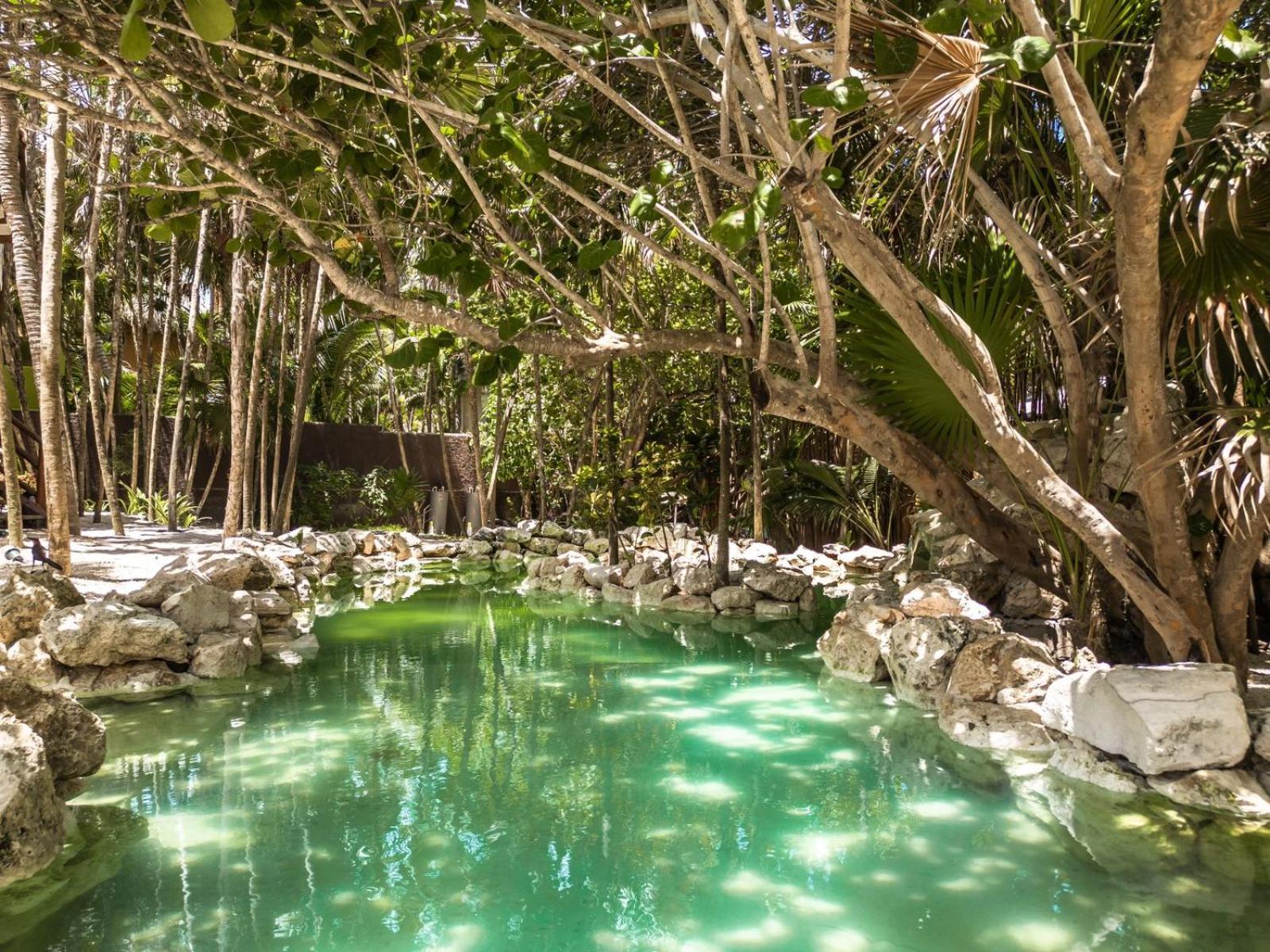 Niken Beachfront Tulum Hotel المظهر الخارجي الصورة