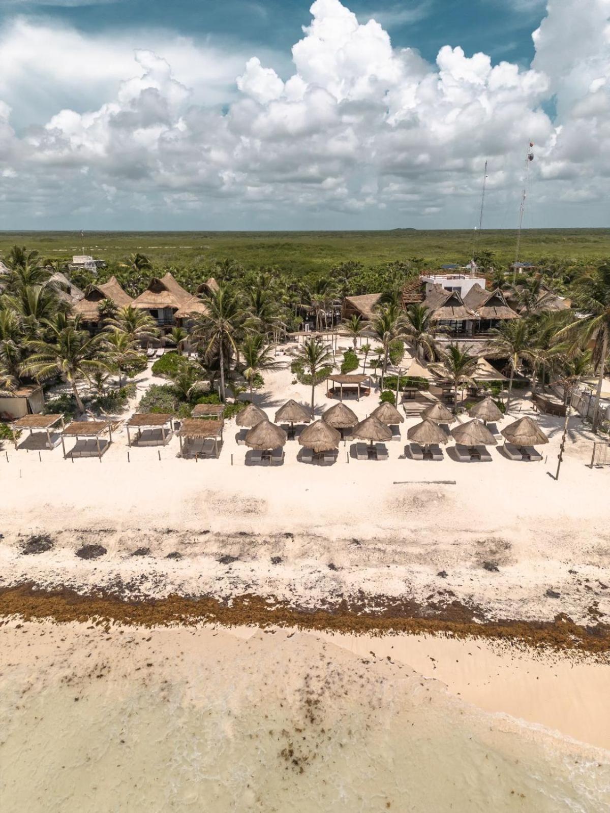 Niken Beachfront Tulum Hotel المظهر الخارجي الصورة